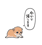差し出すネコ（個別スタンプ：39）