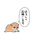 差し出すネコ（個別スタンプ：40）