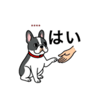 名前入りフレブルパイド①（個別スタンプ：5）