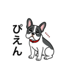 名前入りフレブルパイド①（個別スタンプ：13）
