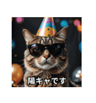 陽キャ用ねこスタンプ（個別スタンプ：1）