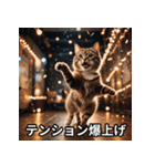 陽キャ用ねこスタンプ（個別スタンプ：3）