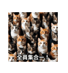 陽キャ用ねこスタンプ（個別スタンプ：5）