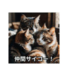 陽キャ用ねこスタンプ（個別スタンプ：10）