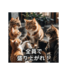 陽キャ用ねこスタンプ（個別スタンプ：16）