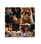 陽キャ用ねこスタンプ（個別スタンプ：17）
