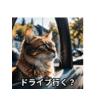陽キャ用ねこスタンプ（個別スタンプ：18）