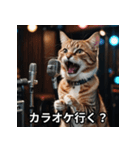 陽キャ用ねこスタンプ（個別スタンプ：19）