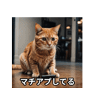陽キャ用ねこスタンプ（個別スタンプ：21）
