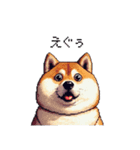 関西弁な太っちょ柴犬2（個別スタンプ：1）