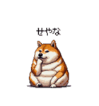 関西弁な太っちょ柴犬2（個別スタンプ：2）