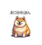 関西弁な太っちょ柴犬2（個別スタンプ：3）