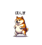 関西弁な太っちょ柴犬2（個別スタンプ：4）