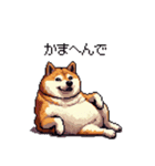 関西弁な太っちょ柴犬2（個別スタンプ：10）