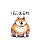 関西弁な太っちょ柴犬2（個別スタンプ：15）