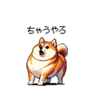 関西弁な太っちょ柴犬2（個別スタンプ：17）