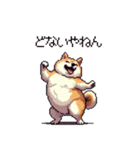 関西弁な太っちょ柴犬2（個別スタンプ：20）