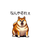 関西弁な太っちょ柴犬2（個別スタンプ：22）