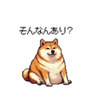 関西弁な太っちょ柴犬2（個別スタンプ：27）