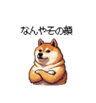 関西弁な太っちょ柴犬2（個別スタンプ：29）