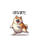 関西弁な太っちょ柴犬2（個別スタンプ：31）