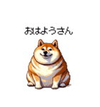 関西弁な太っちょ柴犬2（個別スタンプ：32）
