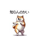 関西弁な太っちょ柴犬2（個別スタンプ：33）