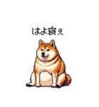 関西弁な太っちょ柴犬2（個別スタンプ：34）
