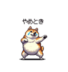 関西弁な太っちょ柴犬2（個別スタンプ：38）