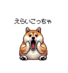 関西弁な太っちょ柴犬2（個別スタンプ：40）
