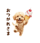 アイスクリームとトイプードル（個別スタンプ：4）
