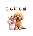 アイスクリームとトイプードル（個別スタンプ：5）
