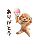 アイスクリームとトイプードル（個別スタンプ：9）