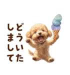 アイスクリームとトイプードル（個別スタンプ：11）