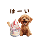 アイスクリームとトイプードル（個別スタンプ：14）