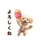 アイスクリームとトイプードル（個別スタンプ：17）