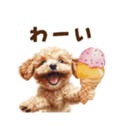 アイスクリームとトイプードル（個別スタンプ：23）