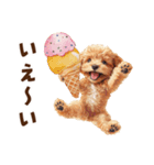 アイスクリームとトイプードル（個別スタンプ：26）