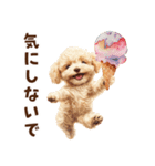 アイスクリームとトイプードル（個別スタンプ：28）