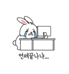 会社員ウサギのオフィス日常 (KR ver.)（個別スタンプ：1）