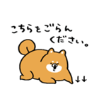 むちぷり柴さん3（個別スタンプ：9）