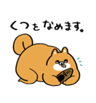 むちぷり柴さん3（個別スタンプ：12）