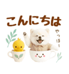 飛び出す癒しポメのラフな敬語（個別スタンプ：2）