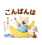 飛び出す癒しポメのラフな敬語（個別スタンプ：3）