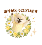 飛び出す癒しポメのラフな敬語（個別スタンプ：4）