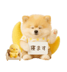飛び出す癒しポメのラフな敬語（個別スタンプ：10）