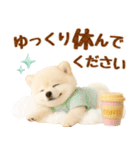 飛び出す癒しポメのラフな敬語（個別スタンプ：12）
