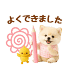 飛び出す癒しポメのラフな敬語（個別スタンプ：18）