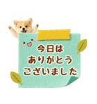 飛び出す癒しポメのラフな敬語（個別スタンプ：19）