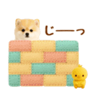 飛び出す癒しポメのラフな敬語（個別スタンプ：21）